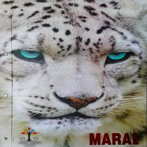 کاغذ دیواری Maral